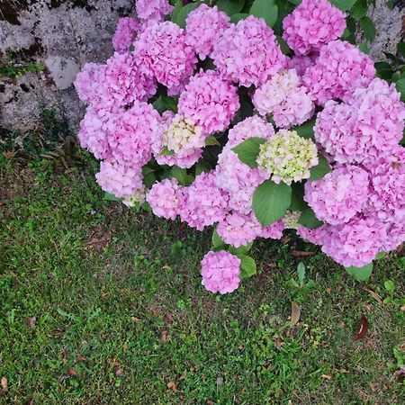 Da Artu' Villa Udine Ngoại thất bức ảnh